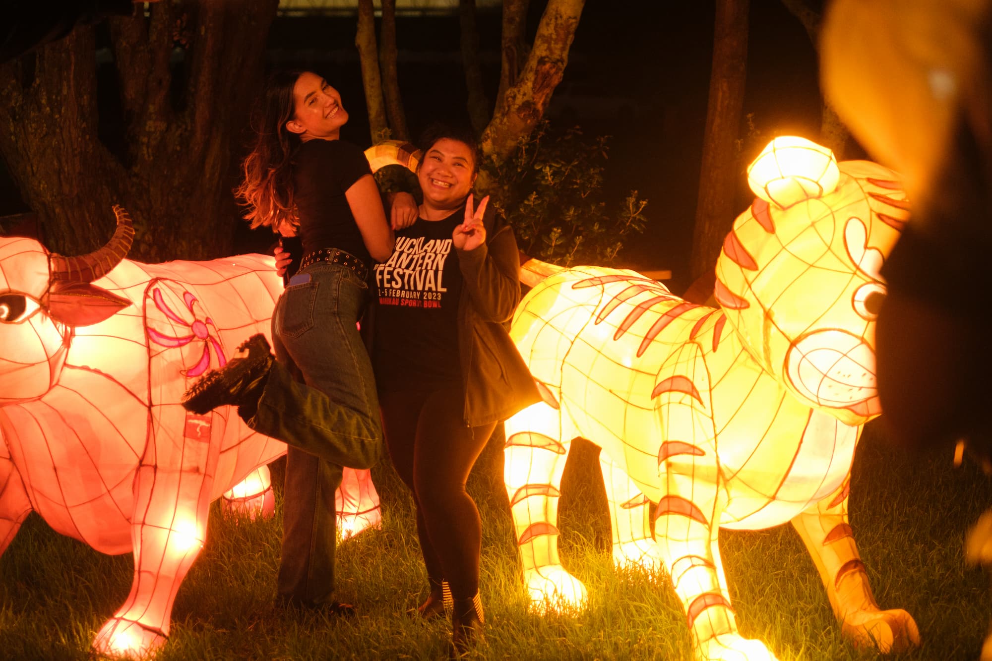 History BNZ Auckland Lantern Festival